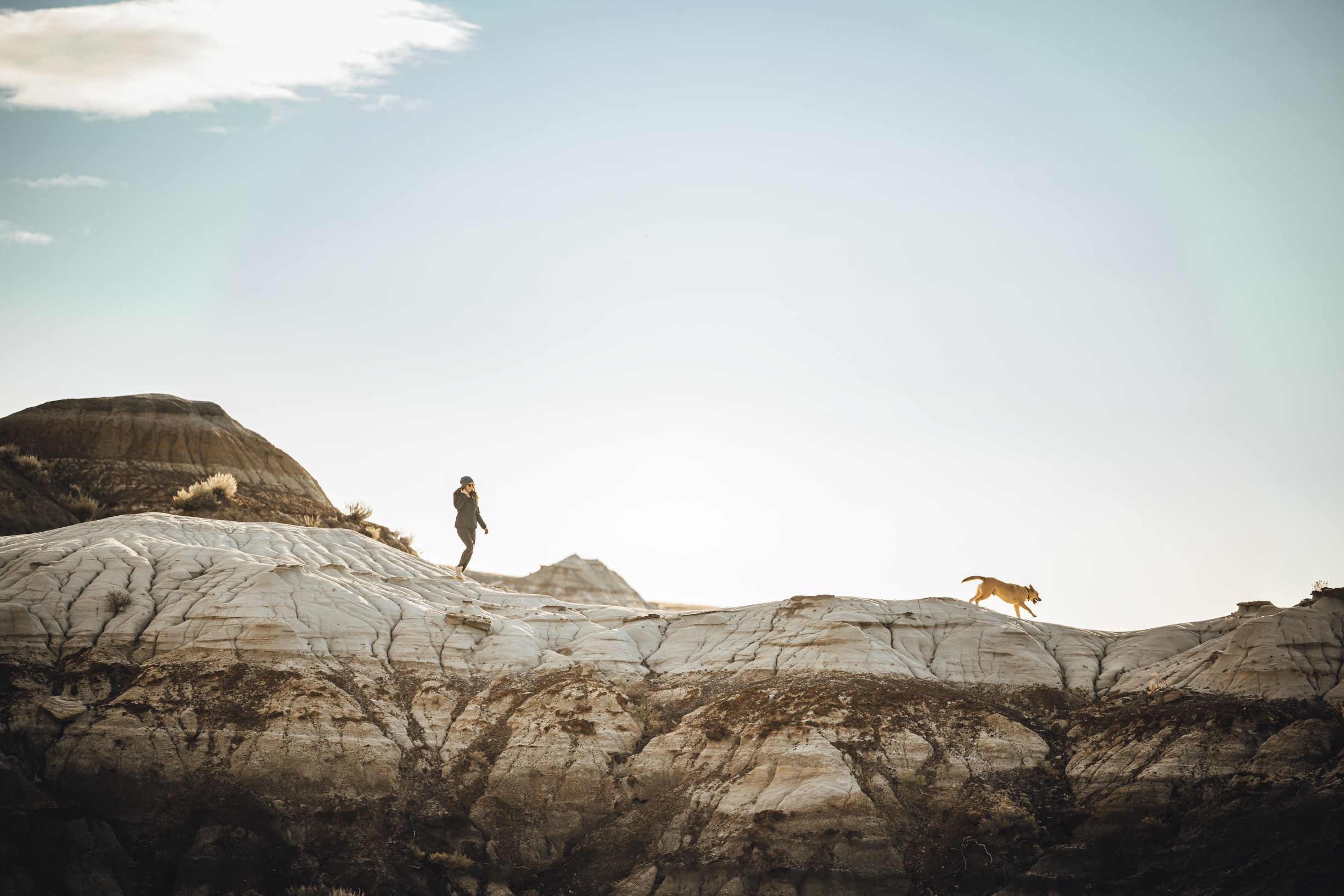 drumheller alberta tourism