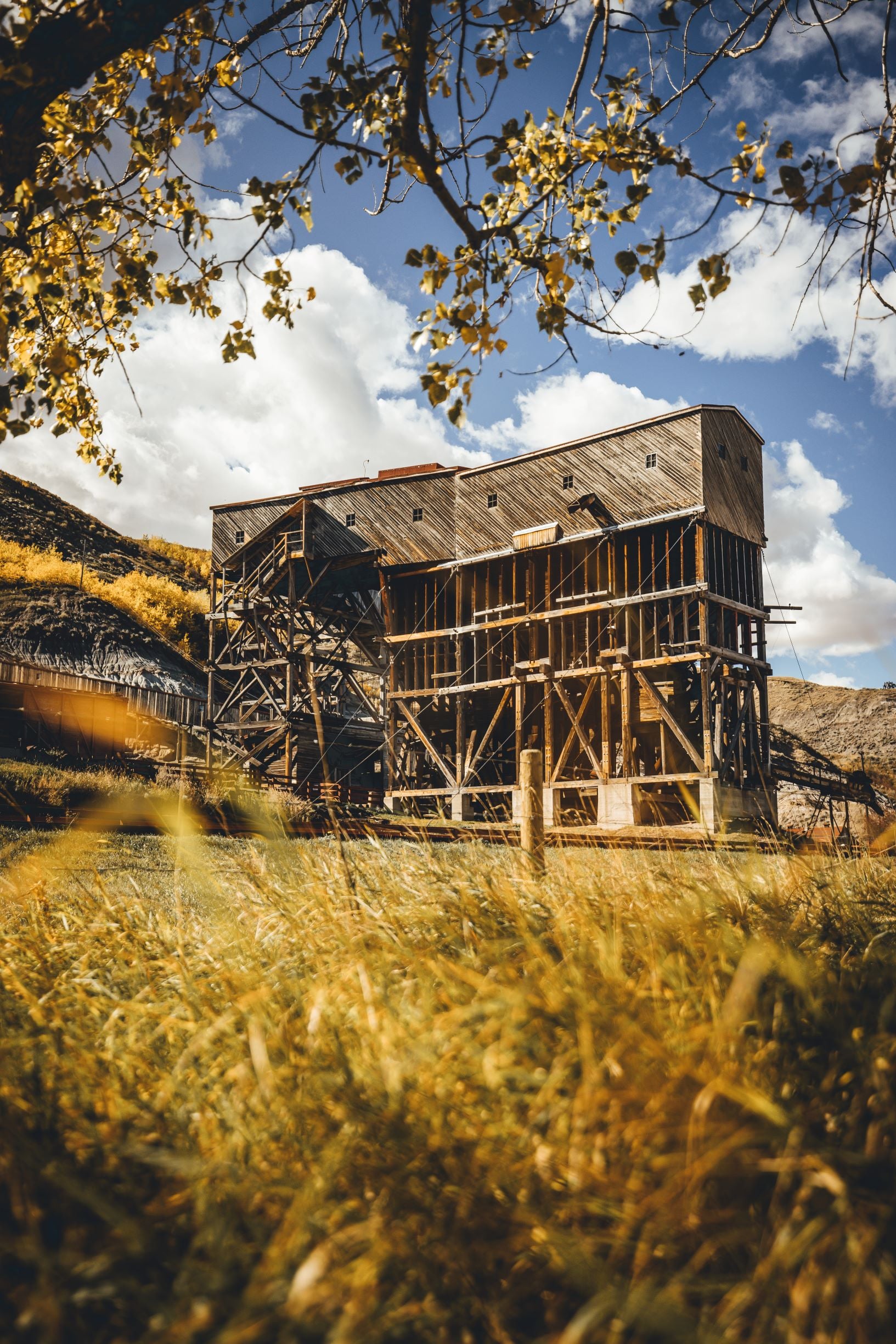 calgary drumheller tour